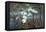 Battle of Tippecanoe, 1811-Science Source-Framed Stretched Canvas