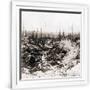 Gramercy White