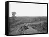 Battlefield of Resaca, Georgia, During the American Civil War-Stocktrek Images-Framed Stretched Canvas