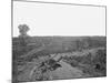 Battlefield of Resaca, Georgia, During the American Civil War-Stocktrek Images-Mounted Photographic Print
