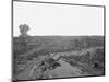 Battlefield of Resaca, Georgia, During the American Civil War-Stocktrek Images-Mounted Photographic Print