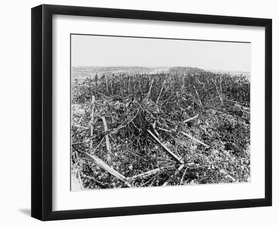 Battles of Arras 1917-Robert Hunt-Framed Photographic Print