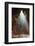 Batu Caves, Gombak, Malaysia, Southeast Asia, Asia-Jochen Schlenker-Framed Photographic Print