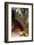 Batu Caves, Kuala Lumpur, Malaysia, Southeast Asia, Asia-Balan Madhavan-Framed Photographic Print