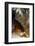 Batu Caves, Kuala Lumpur, Malaysia, Southeast Asia, Asia-Balan Madhavan-Framed Photographic Print