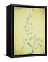 Bau Am Bach-Paul Klee-Framed Stretched Canvas