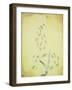 Bau Am Bach-Paul Klee-Framed Giclee Print