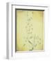 Bau Am Bach-Paul Klee-Framed Giclee Print