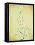 Bau Am Bach-Paul Klee-Framed Stretched Canvas