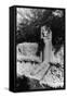 Baudelaire's Tomb, Monparnasse Cemetery, Paris-Simon Marsden-Framed Stretched Canvas