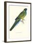 Bauer's Parakeet - Bauer Barnardius Donzarius-Edward Lear-Framed Art Print