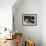 Baugin: Still Life-Lubin Baugin-Framed Giclee Print displayed on a wall