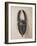 Baule Horned Mask, Ivory Coast, 19th-20th Century (Wood & Horn)-null-Framed Giclee Print