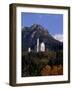 Bavarian Alps and Neuschwanstein Castle, Germany-Bill Bachmann-Framed Photographic Print