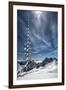 Bavarian Alps, Zugspitze, Germany and Maypole in Winter Vertical-Sheila Haddad-Framed Photographic Print