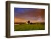 Bavarian Foothills of the Alps-Bernd Rommelt-Framed Photographic Print