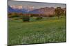 Bavarian Foothills of the Alps-Bernd Rommelt-Mounted Photographic Print