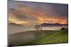 Bavarian Foothills of the Alps-Bernd Rommelt-Mounted Photographic Print