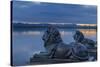 Bavarian Lions in Front of the Midgardhaus, Germany-P. Widmann-Stretched Canvas