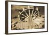 Bavarian Swings, Amusement Park, Pennsylvania-Theo Westenberger-Framed Photographic Print