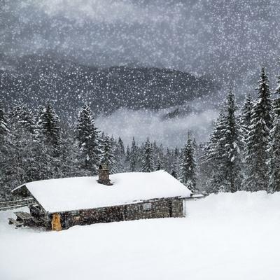 https://imgc.allpostersimages.com/img/posters/bavarian-winter-s-tale-ii_u-L-F8IT480.jpg?artPerspective=n