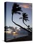 Bavaro Beach at Sunrise, Punta Cana, Dominican Republic, West Indies, Caribbean, Central America-Frank Fell-Stretched Canvas