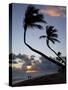 Bavaro Beach at Sunrise, Punta Cana, Dominican Republic, West Indies, Caribbean, Central America-Frank Fell-Stretched Canvas