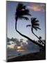 Bavaro Beach at Sunrise, Punta Cana, Dominican Republic, West Indies, Caribbean, Central America-Frank Fell-Mounted Photographic Print