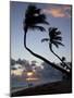 Bavaro Beach at Sunrise, Punta Cana, Dominican Republic, West Indies, Caribbean, Central America-Frank Fell-Mounted Photographic Print