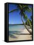Bavaro Beach, Dominican Republic, West Indies, Caribbean, Central America-Lightfoot Jeremy-Framed Stretched Canvas