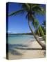 Bavaro Beach, Dominican Republic, West Indies, Caribbean, Central America-Lightfoot Jeremy-Stretched Canvas