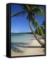 Bavaro Beach, Dominican Republic, West Indies, Caribbean, Central America-Lightfoot Jeremy-Framed Stretched Canvas