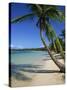 Bavaro Beach, Dominican Republic, West Indies, Caribbean, Central America-Lightfoot Jeremy-Stretched Canvas