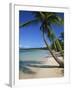 Bavaro Beach, Dominican Republic, West Indies, Caribbean, Central America-Lightfoot Jeremy-Framed Photographic Print