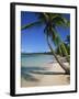 Bavaro Beach, Dominican Republic, West Indies, Caribbean, Central America-Lightfoot Jeremy-Framed Photographic Print