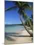 Bavaro Beach, Dominican Republic, West Indies, Caribbean, Central America-Lightfoot Jeremy-Mounted Photographic Print