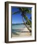 Bavaro Beach, Dominican Republic, West Indies, Caribbean, Central America-Lightfoot Jeremy-Framed Photographic Print