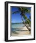 Bavaro Beach, Dominican Republic, West Indies, Caribbean, Central America-Lightfoot Jeremy-Framed Photographic Print