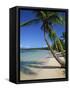 Bavaro Beach, Dominican Republic, West Indies, Caribbean, Central America-Lightfoot Jeremy-Framed Stretched Canvas