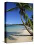 Bavaro Beach, Dominican Republic, West Indies, Caribbean, Central America-Lightfoot Jeremy-Stretched Canvas