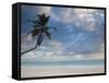Bavaro Beach Palms at Dawn, Bavaro, Punta Cana Region, Dominican Republic-Walter Bibikow-Framed Stretched Canvas