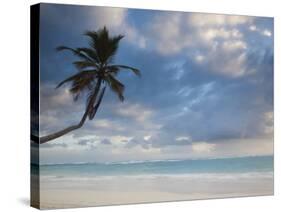Bavaro Beach Palms at Dawn, Bavaro, Punta Cana Region, Dominican Republic-Walter Bibikow-Stretched Canvas