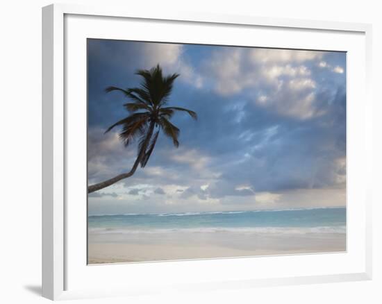 Bavaro Beach Palms at Dawn, Bavaro, Punta Cana Region, Dominican Republic-Walter Bibikow-Framed Photographic Print