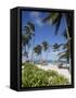 Bavaro Beach, Punta Cana, Dominican Republic, West Indies, Caribbean, Central America-Frank Fell-Framed Stretched Canvas