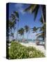 Bavaro Beach, Punta Cana, Dominican Republic, West Indies, Caribbean, Central America-Frank Fell-Stretched Canvas