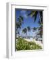 Bavaro Beach, Punta Cana, Dominican Republic, West Indies, Caribbean, Central America-Frank Fell-Framed Photographic Print