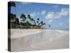 Bavaro Beach, Punta Cana, Dominican Republic, West Indies, Caribbean, Central America-Frank Fell-Stretched Canvas