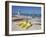 Bavaro Beach, Punta Cana, Dominican Republic, West Indies, Caribbean, Central America-Frank Fell-Framed Photographic Print