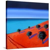 Bay 2-Paul Powis-Stretched Canvas