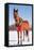 Bay Arabian Horse in Snow with a Christmas Wreath around His Neck - Concept of Gift Horse-Sari ONeal-Framed Stretched Canvas